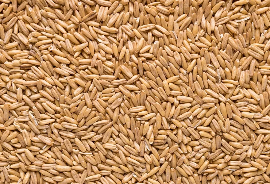 wheat color sorter kinds