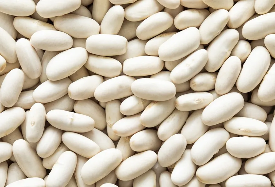 white bean color sorter kinds