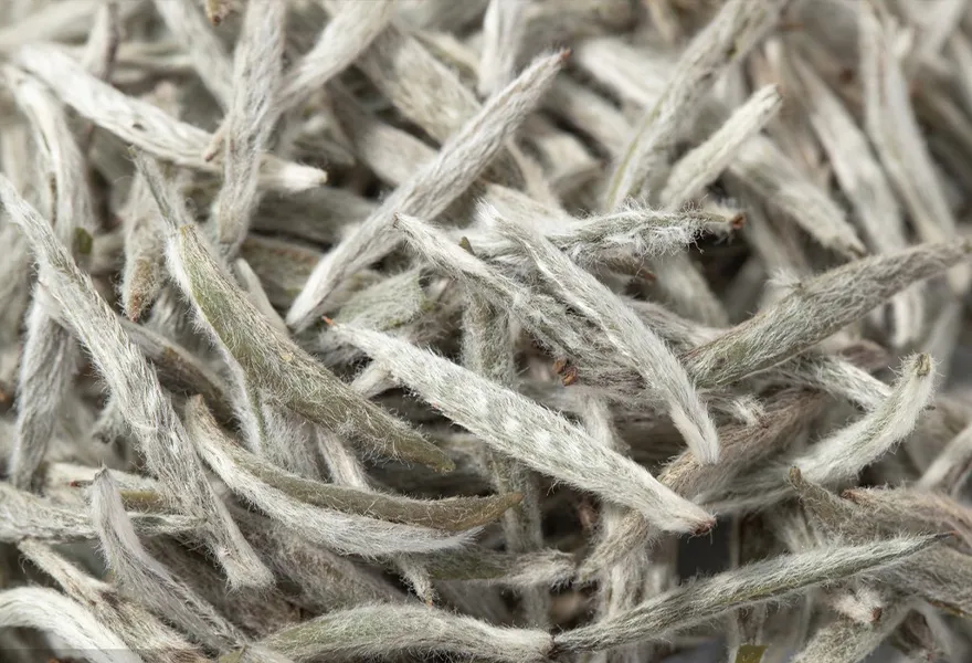 white tea color sorter kinds