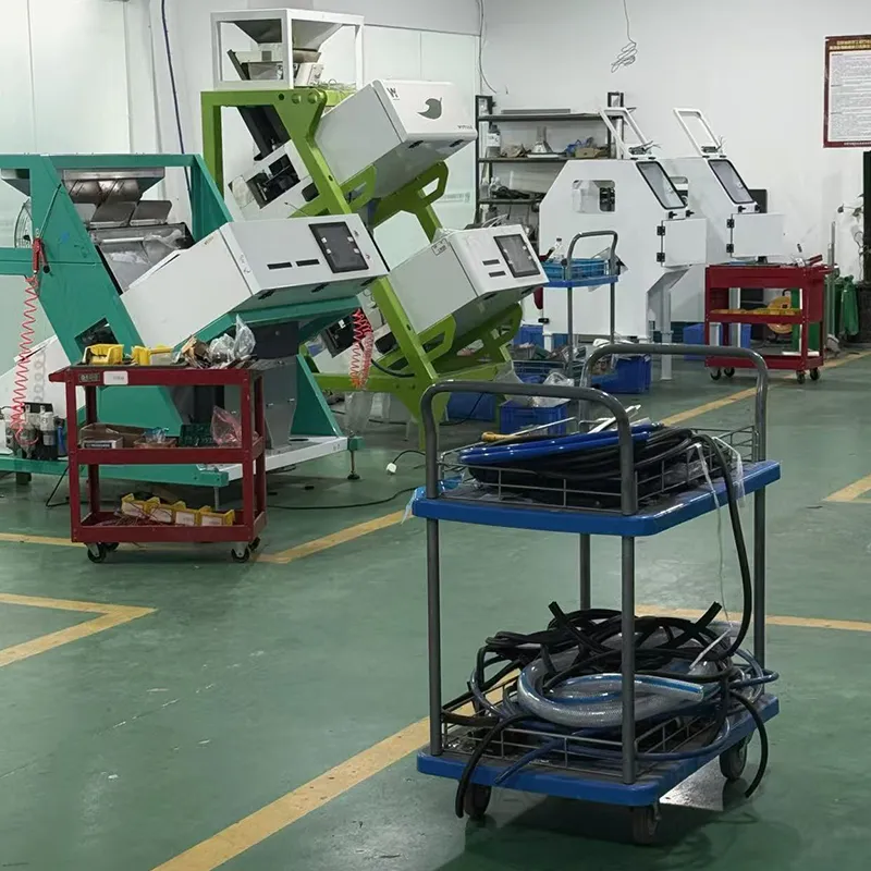 colour sorter for grain
