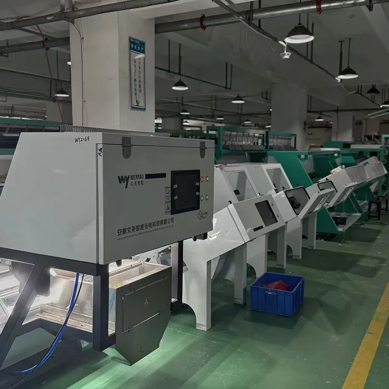 rice color sorter machine
