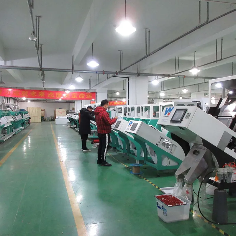 grain color sorter for sale
