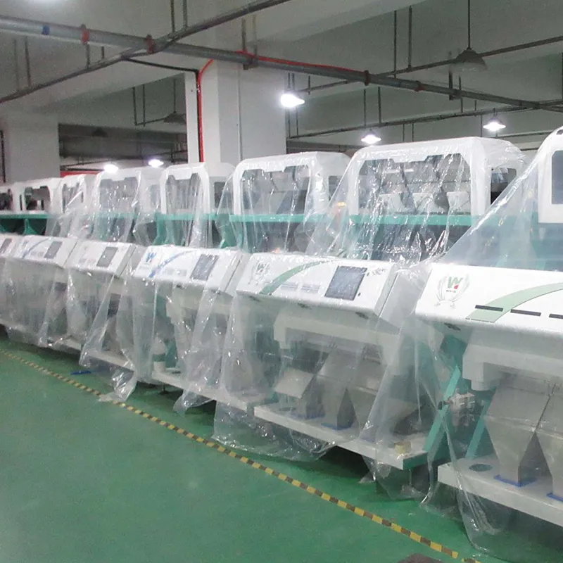 grain colour sorter
