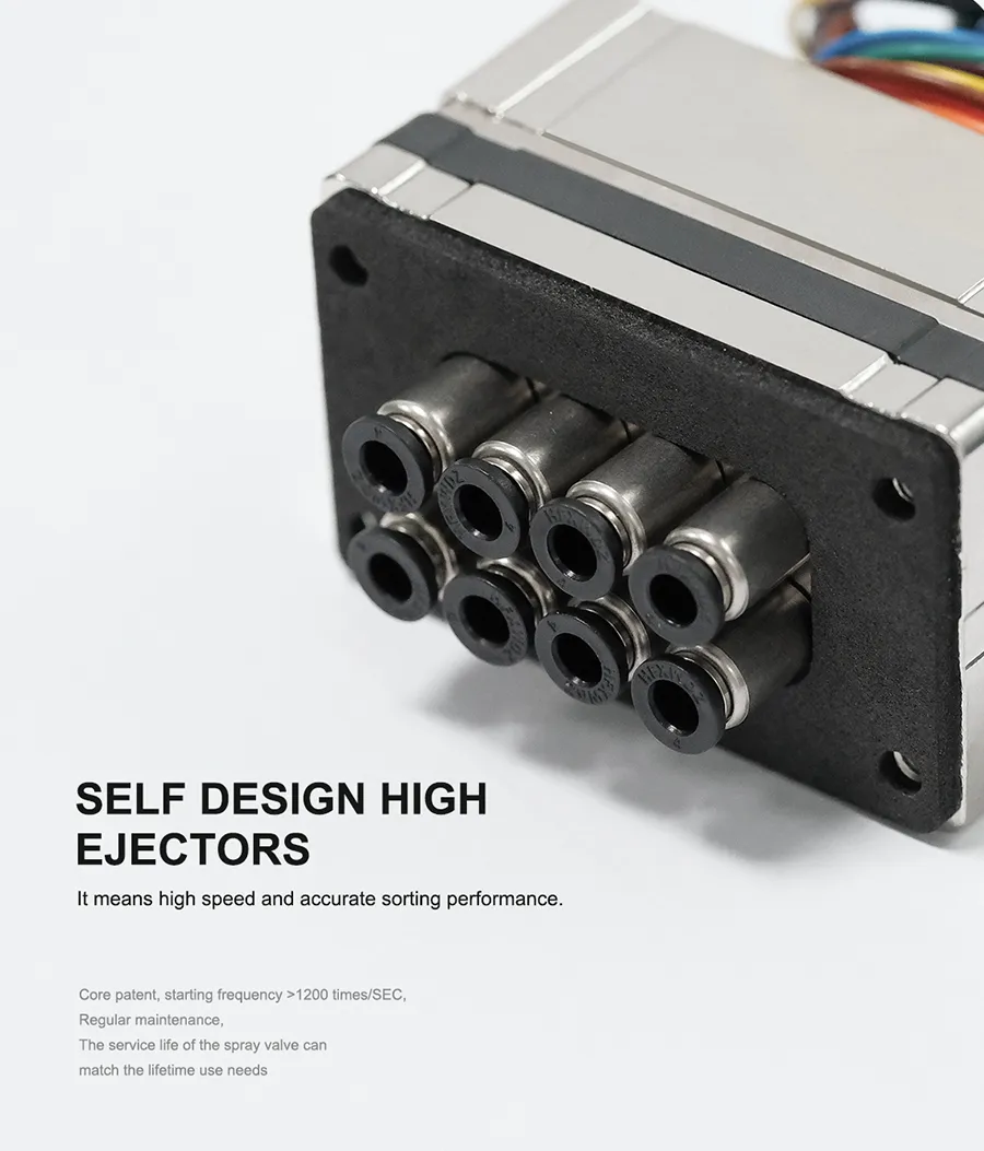 Details of Wheat Color Sorter