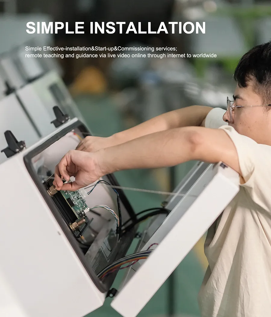 Details of Wheat Color Sorter