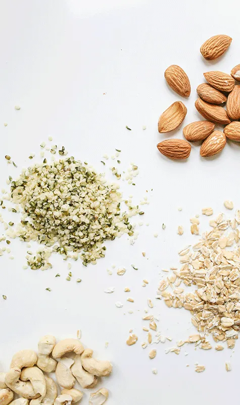 Nuts & Kernels & Seeds Color Sorter