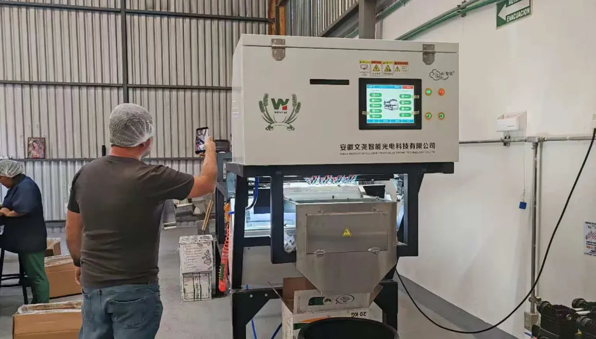 How to Choose Reliable Color Sorter Suppliers for Long-Term Business Success?