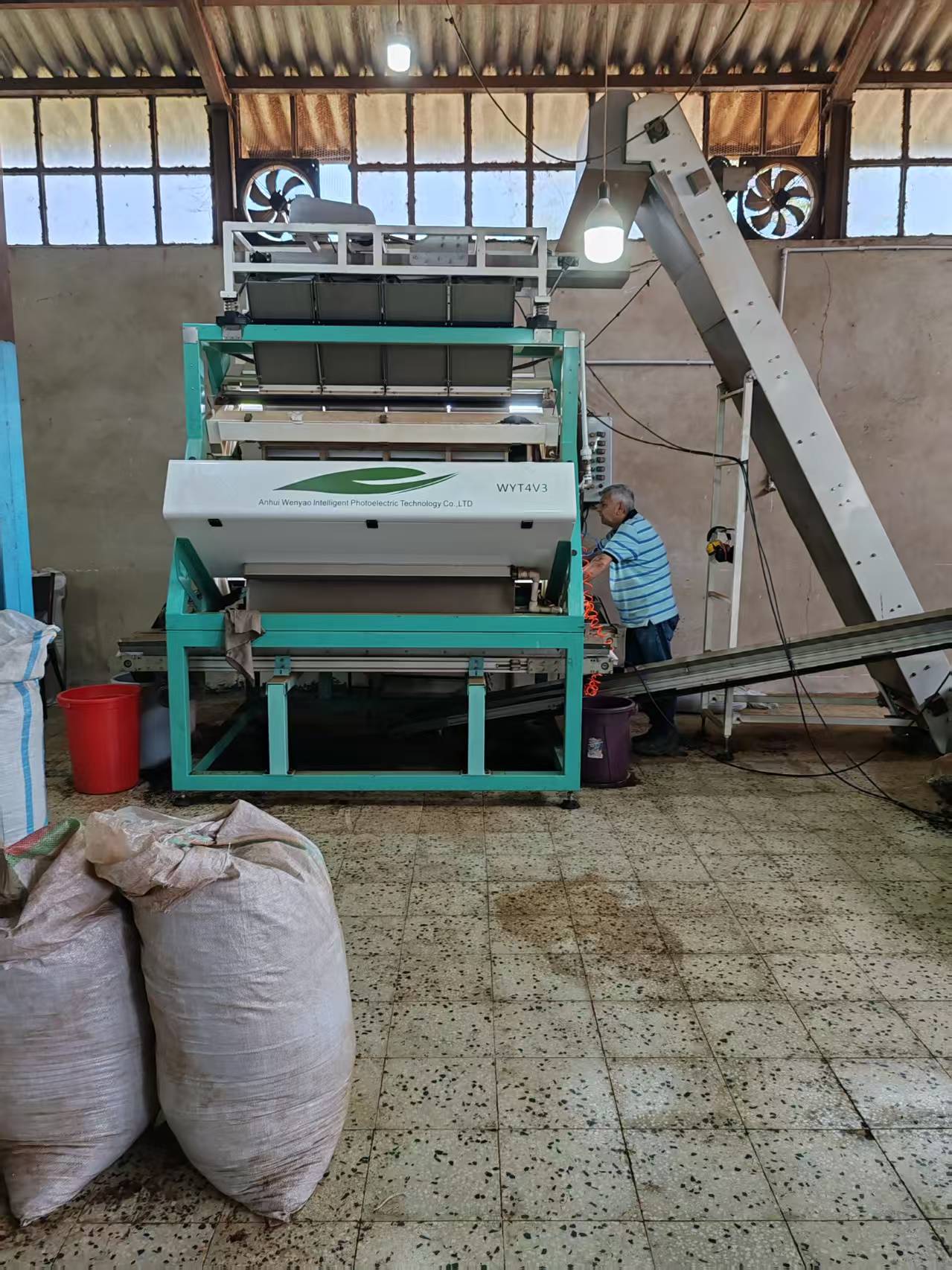 Iran tea color sorter.jpg