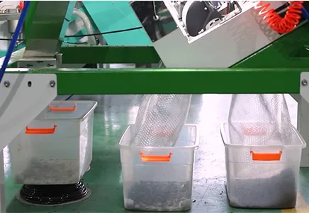 WYT1L2_black tea sorting