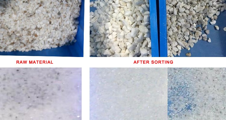  color sorter supplier Innovation 