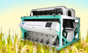 rice color sorter