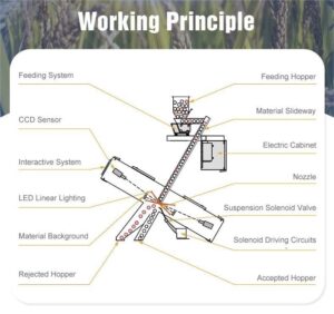 Working Principle of Color Sorting Equipment