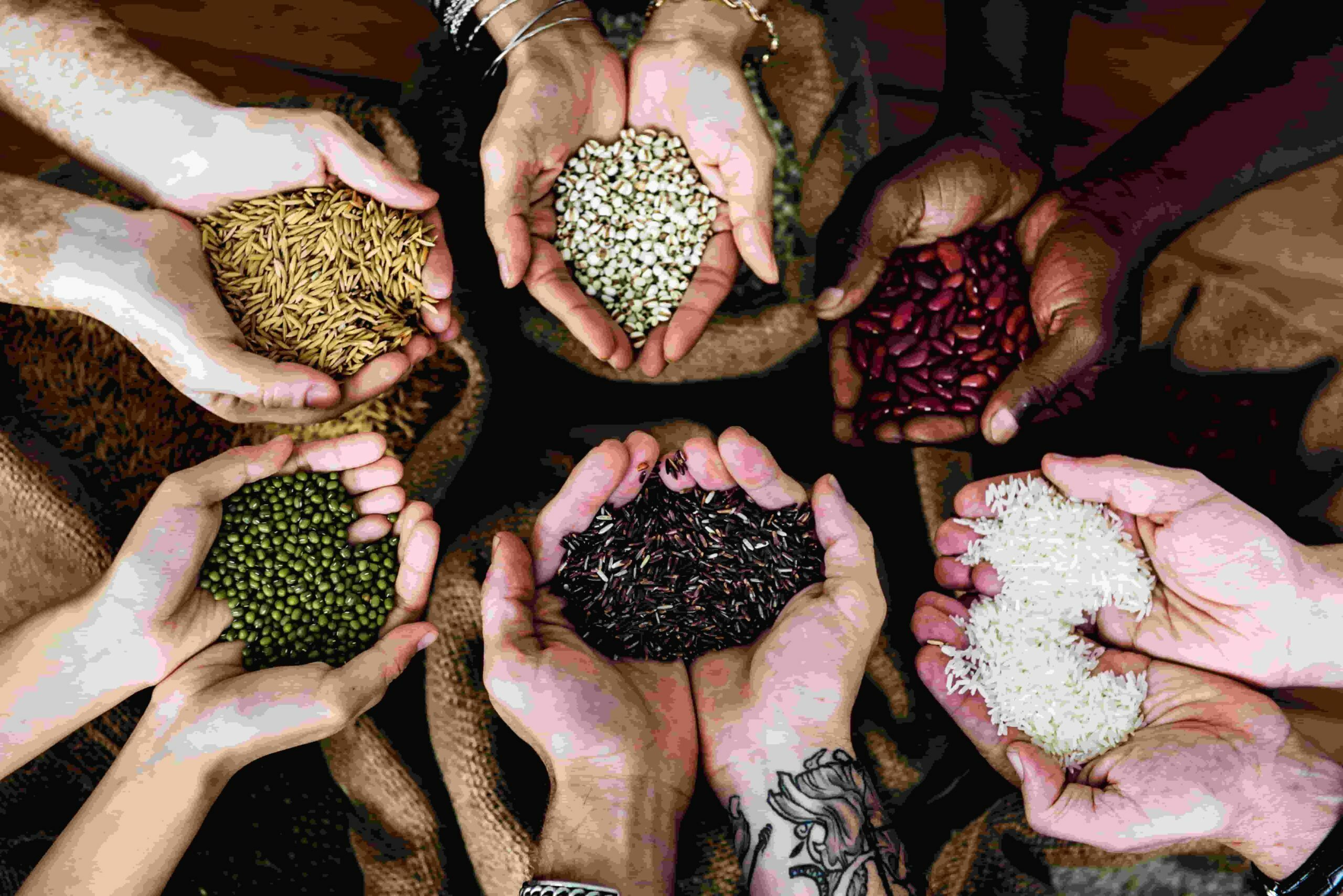 bean sorting_02