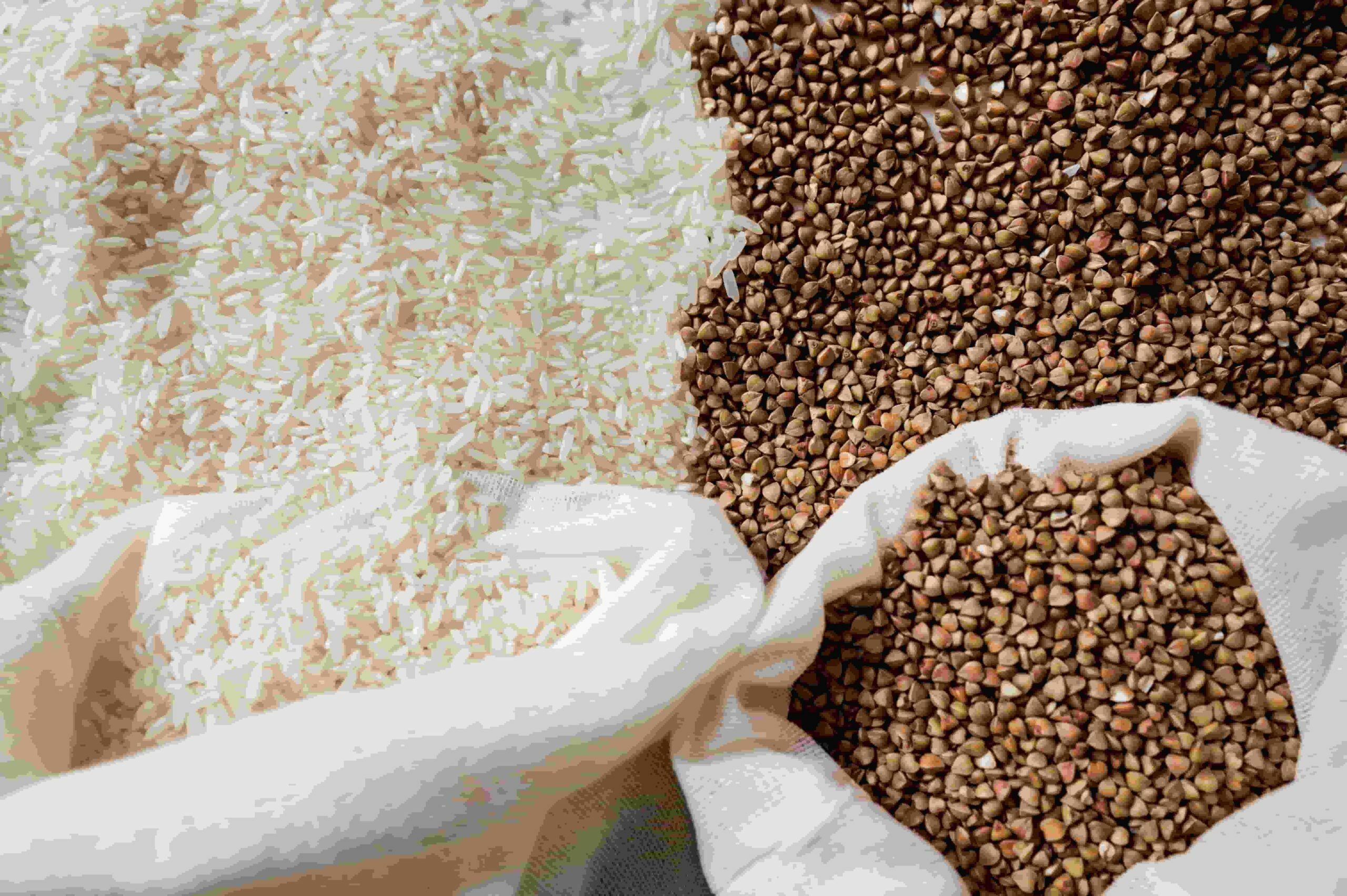rice sorting_01