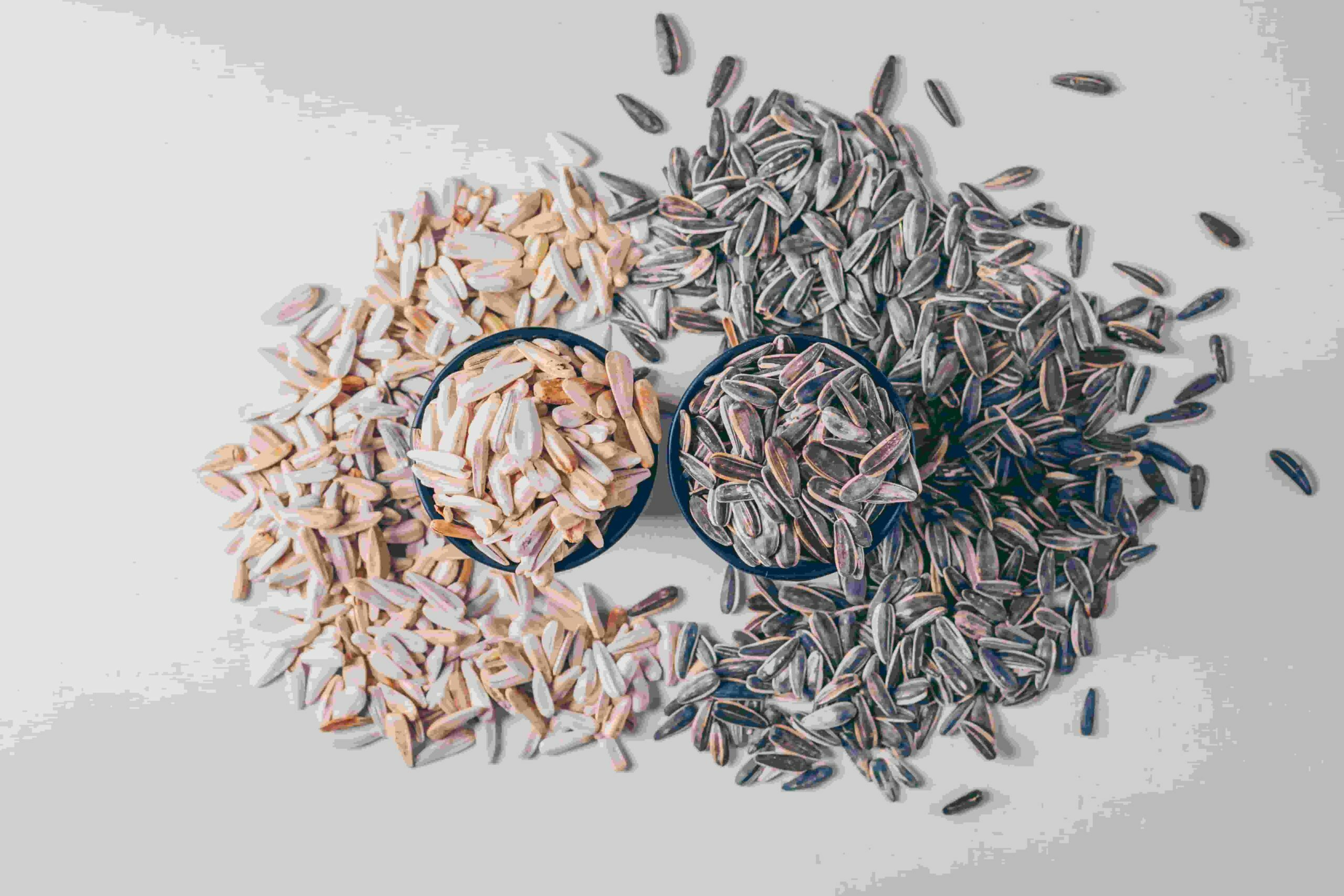 seed_sorting_01